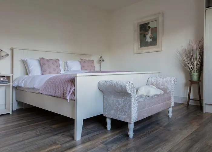 The Happy Pig Affittacamere